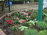 905cd9d7.jpg