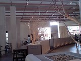 945ba634.JPG