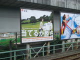 96014a50.jpg