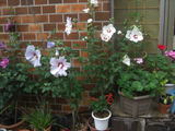 97f5539f.jpg