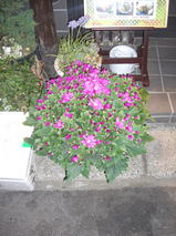 98469abf.jpg