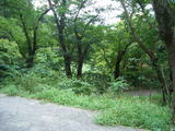 99d35a56.jpg