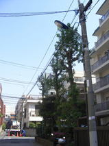 08042202