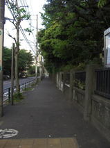 a65b07c3.jpg