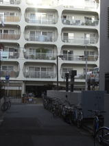 a81d5d87.jpg