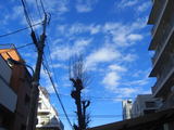 ab085c5b.jpg