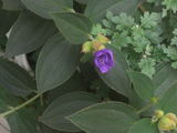 b06bb95d.jpg