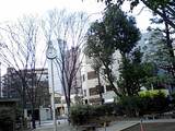 b31b63e5.JPG