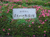 c4467b38.jpg