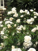 d3859f2a.jpg