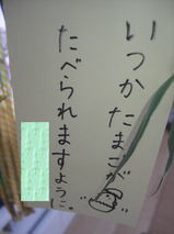09070202