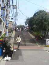 e8d2acef.jpg