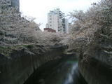 07040608