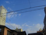 efb8ed91.jpg