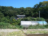 f3593718.jpg