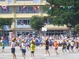f51a4a31.jpg