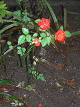 fd3fd654.jpg
