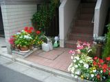 fe79a5d5.jpg