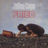 JULIAN COPE / Fried