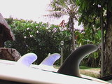 nc.scor-inco