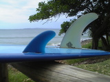noosa-bre