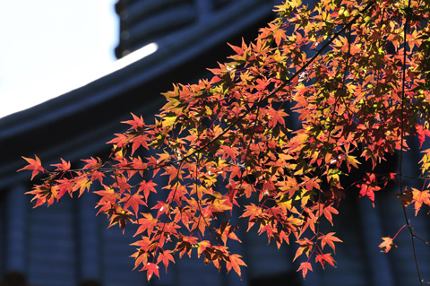 高尾山薬王院