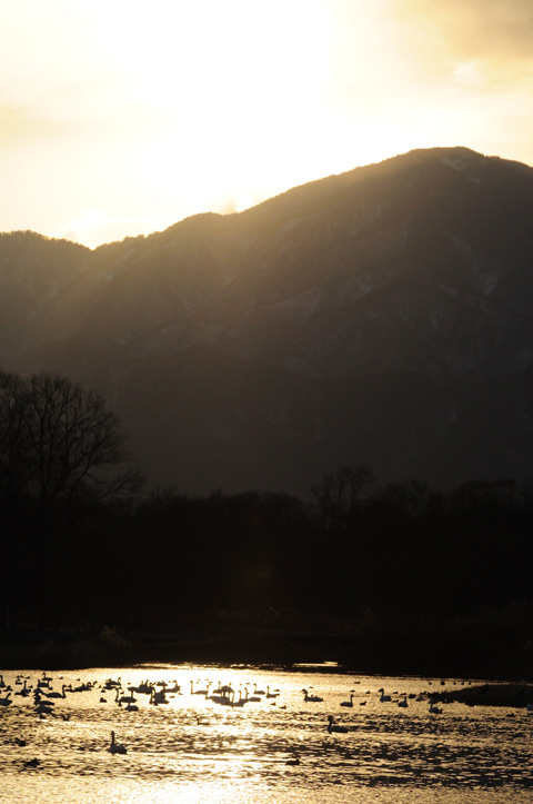 御宝田遊水地夕景