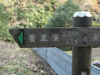 �����_091115