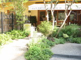 154a3464.JPG