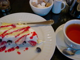 4613093a.JPG