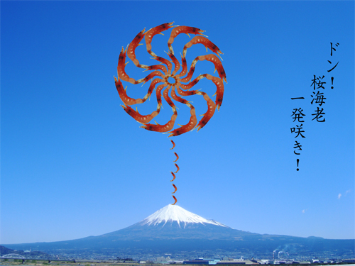 こんなこと。