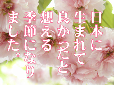 日本人でよかった!