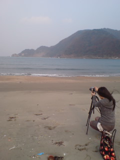 強風の海