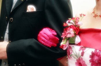�뺧���ˤƹ��������