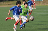 �ޥ�Υ����ͣ���٥�ޡ��쾮�ĸ���