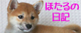�Хʡ�