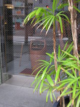 �����ǥ���2009-6Ź��7