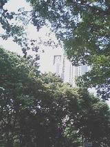 6e62e6c0.jpg