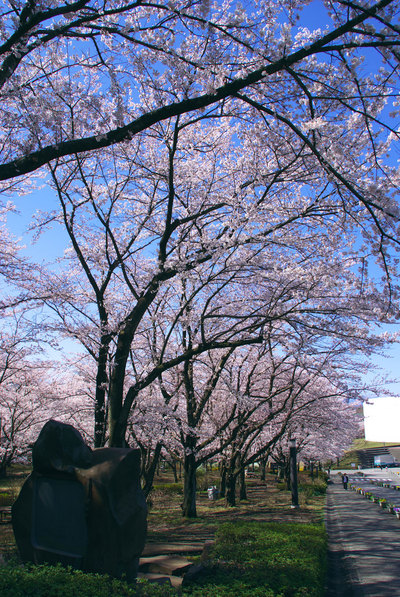 20080403_4