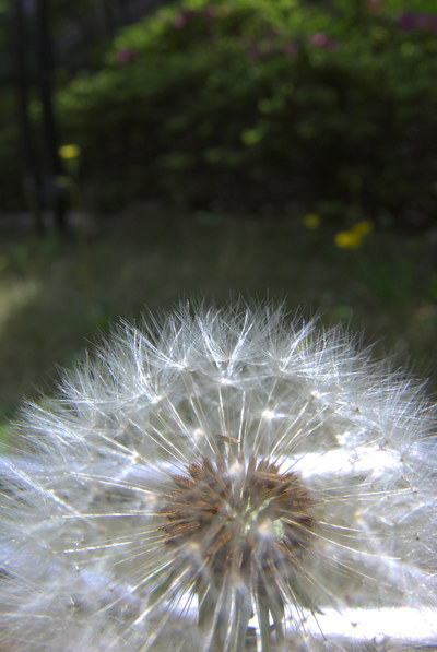 20080424-1