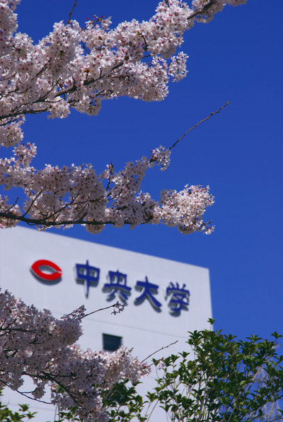 20080403_1.jpg