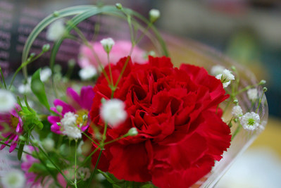 20080513_7