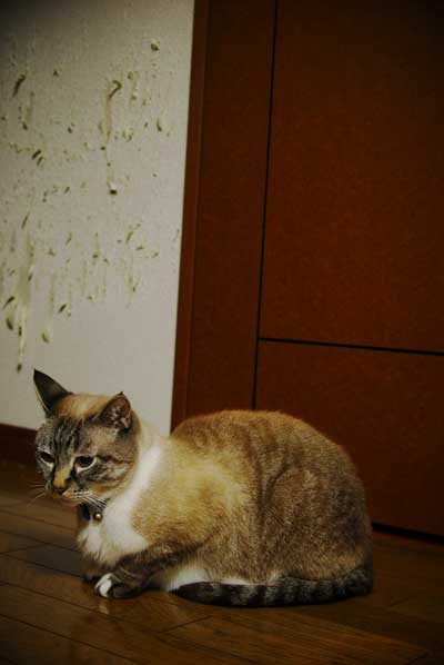 20080328-1s.jpg