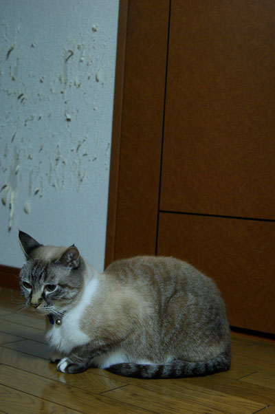 20080328-2s.jpg