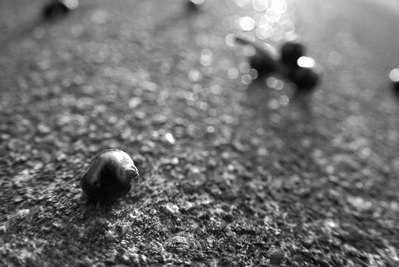 20080703_1