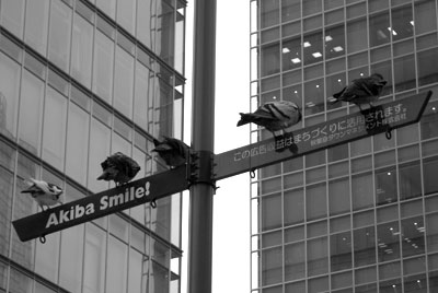 20080927_1