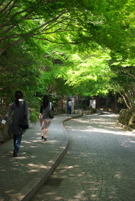 20080501_37