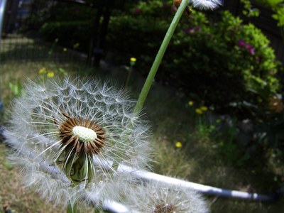 20080424-2