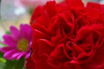 20080513_1