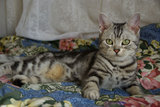 20080112_03
